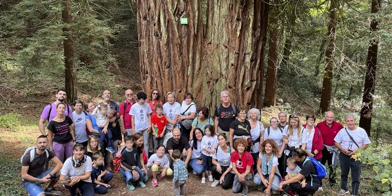 Sequoia gemella del Parco di Sammezzano con bambini in gita