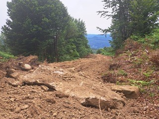 Alcune foto della zona interessata