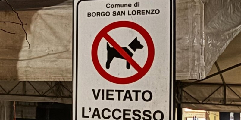 Becchi (PD): "Interrogativi sulla sicurezza degli alberi e sulla scelta degli spazi per gli eventi natalizi"