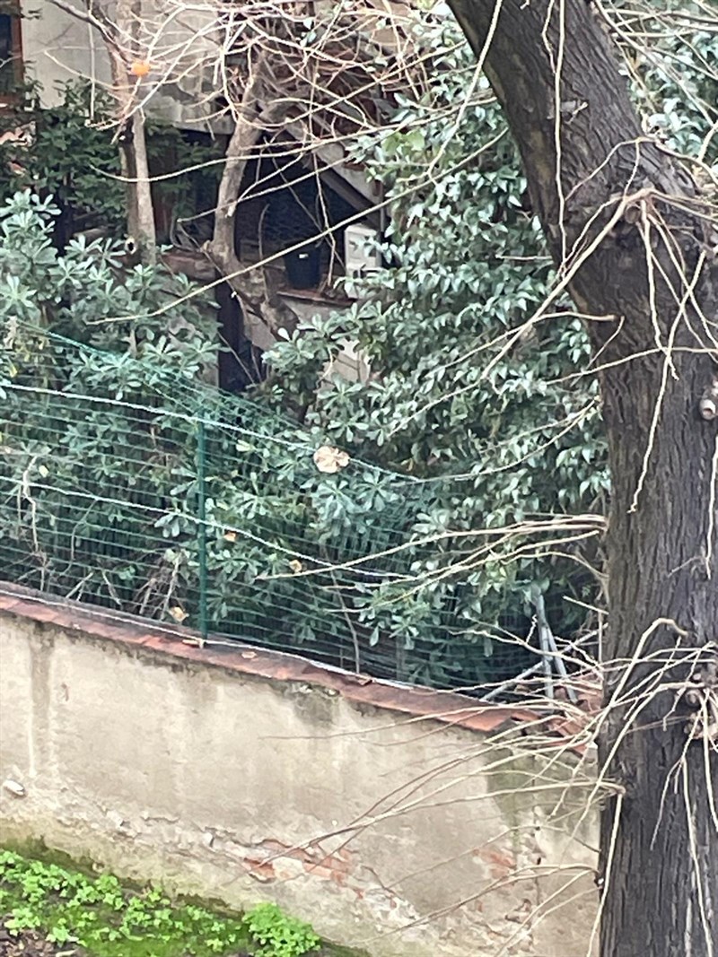 L'occupazione di via Toselli