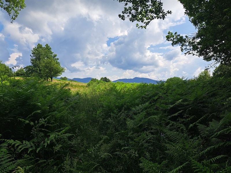 Solstizio d’estate sui crinali