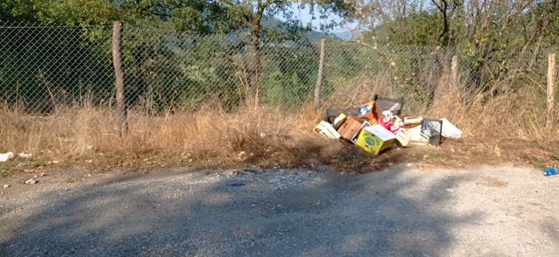 Foto segnalazione incuria di un lettore per la SP551 Dicomano - Vicchio