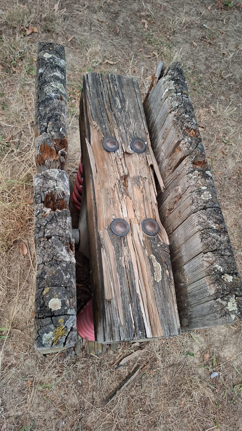 Foto segnalazione incuria di un lettore per i giardini di Via Pertini a Borgo San Lorenzo