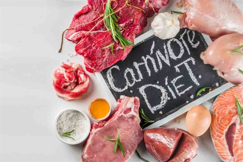 dieta carnivora
