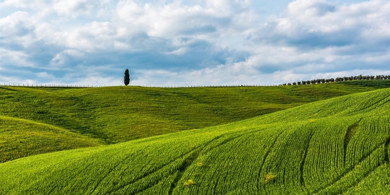 Imprese locali a Valdisieve: come gestire al meglio la parte fiscale