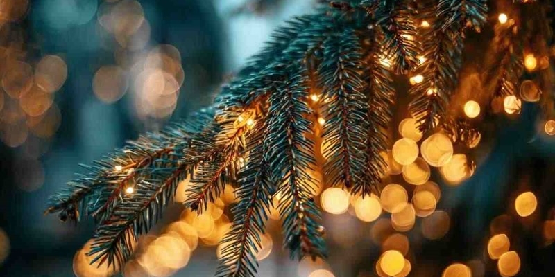 L'Albero di Natale devo annaffiarlo dopo addobbato? Tutto ciò che non devi dimenticare
