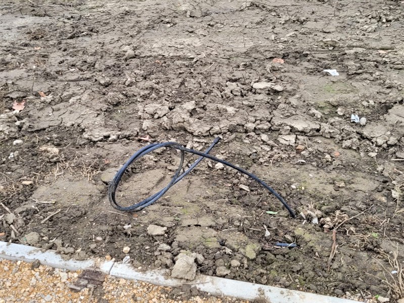 La terra al posto dell'erba