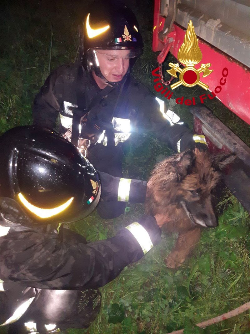 Intervento per salvare l'anomale