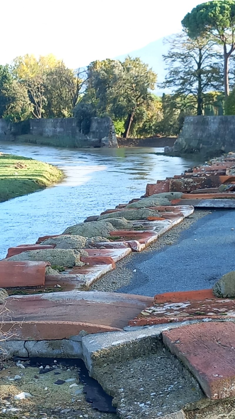 Foto della zona dopo la pioggia