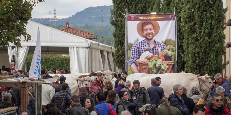 L’ambiente è al centro di Autumnia, tante le attività a tema in vari punti del centro storico