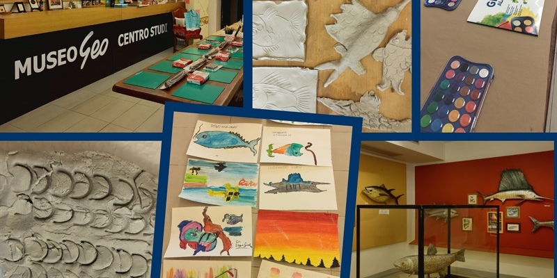 Laboratori creativi Nel Magico mondo dei pesci 