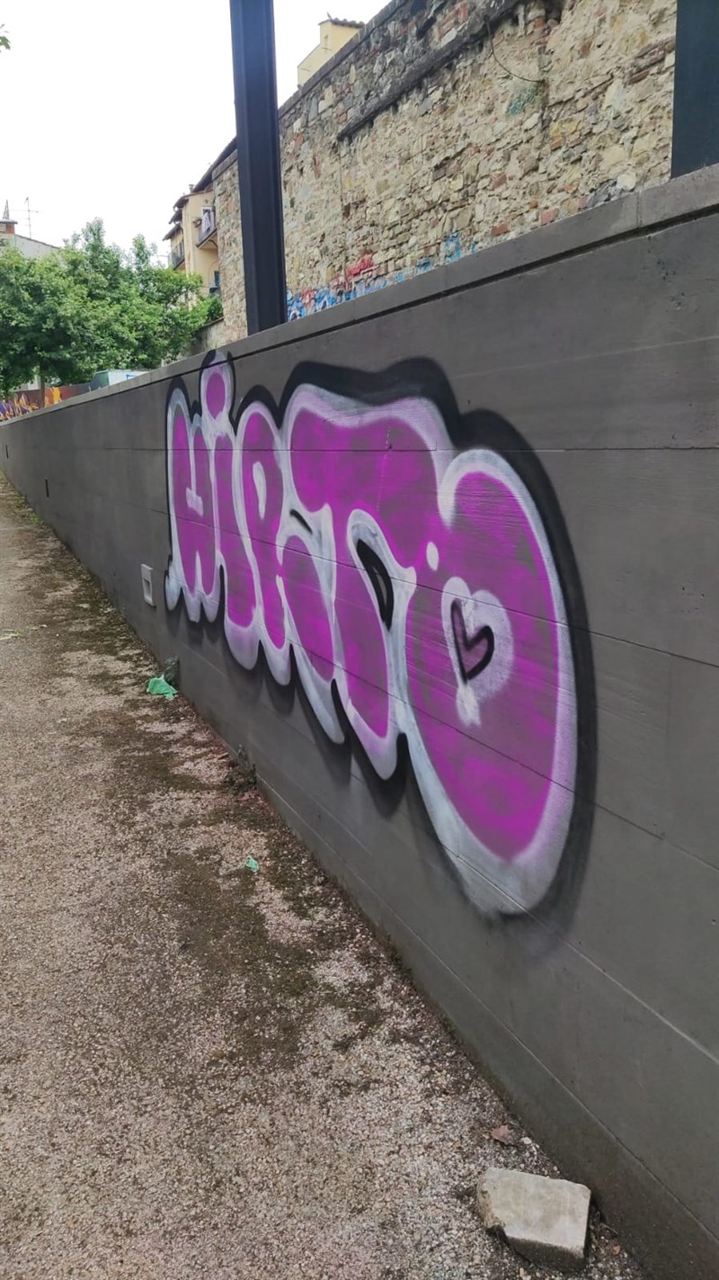 La vandalizzazione