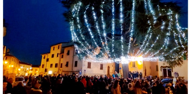 l’Abete di Piazza del Poggio