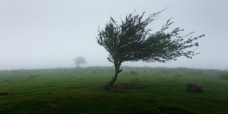 Vento forte sulla Toscana