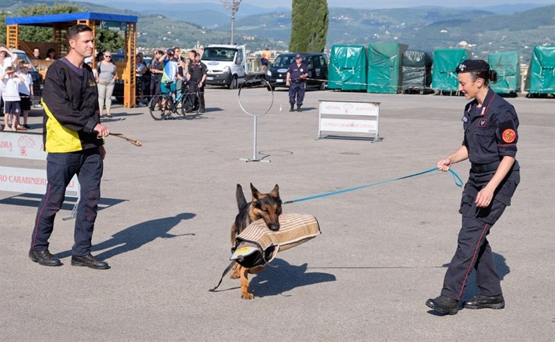 La parata dei Carabinieri