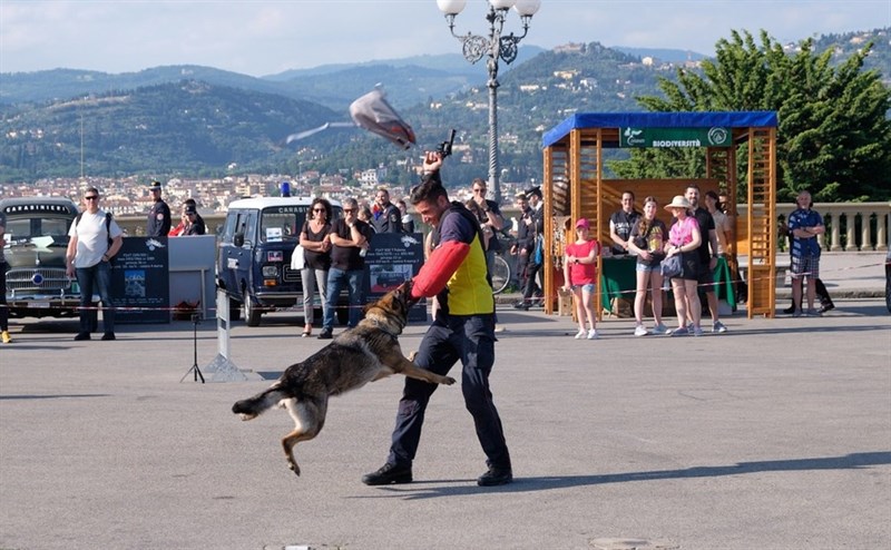 La parata dei Carabinieri