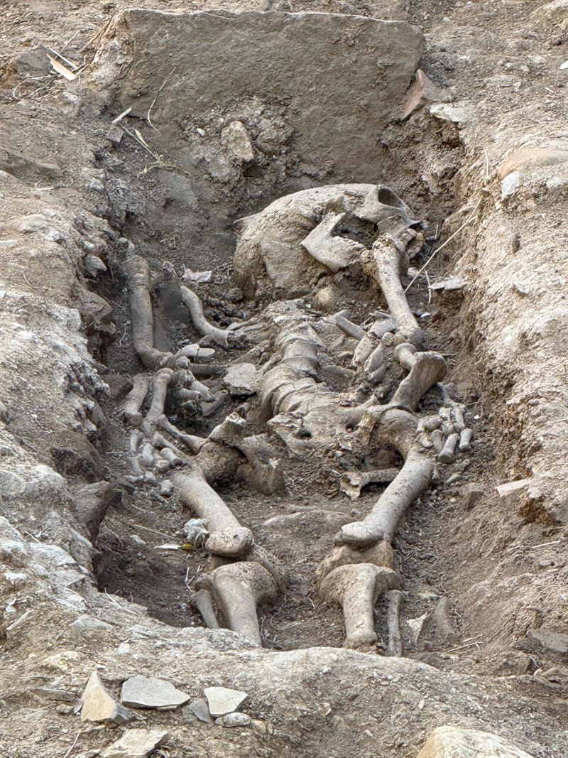 Lo scheletro rinvenuto