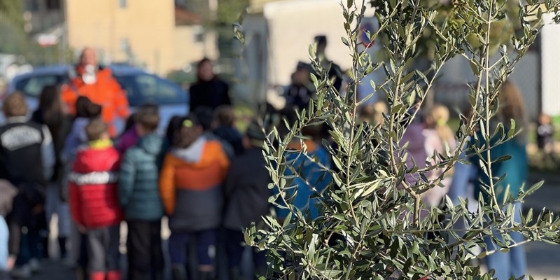 Festa albero a "La Massa" - 2024