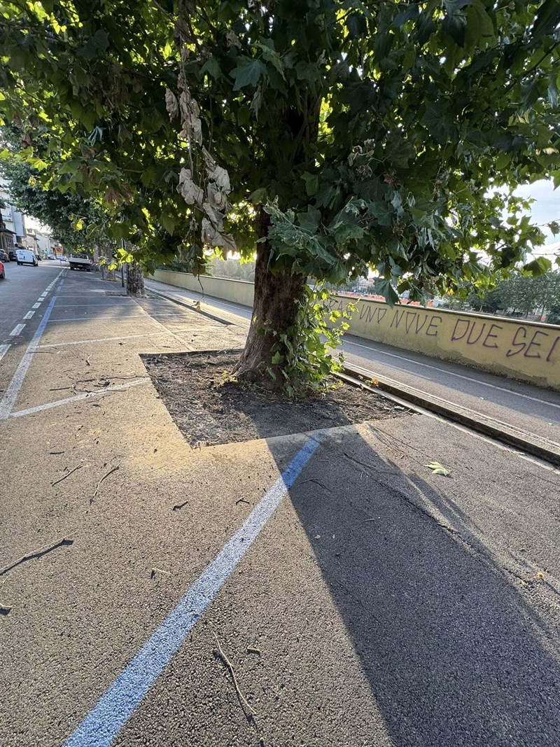 Ora anche le strisce blu