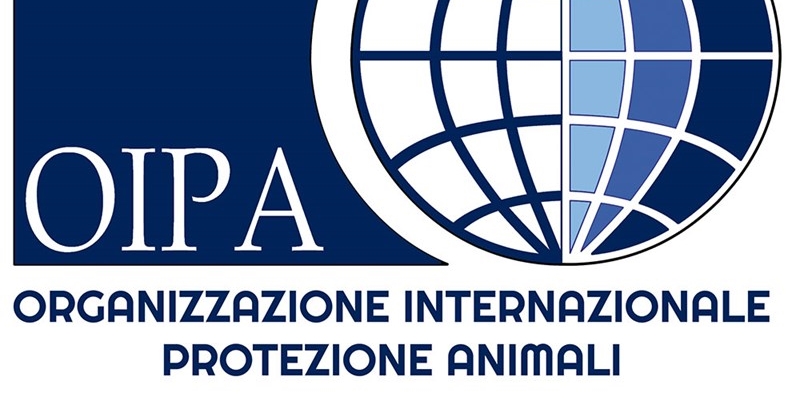 OIPA - Logo