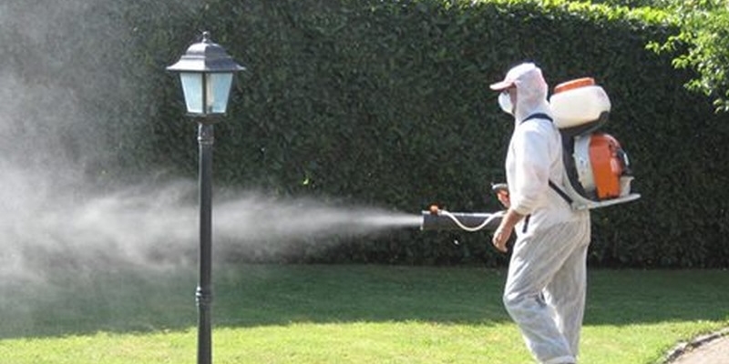 Lotta alle zanzare. Interrogazione in Consiglio a Marradi