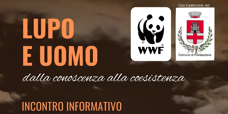 Il lupo e l'uomo