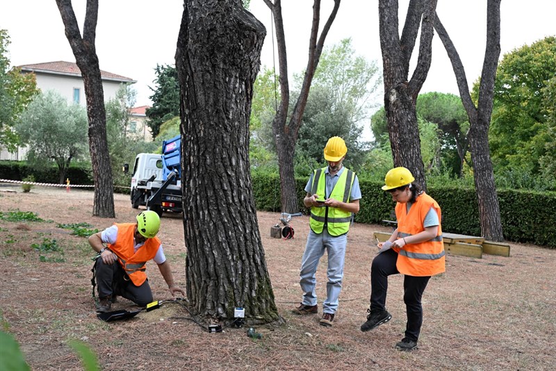 Le prove di trazione degli alberi