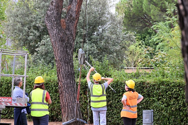 Le prove di trazione degli alberi