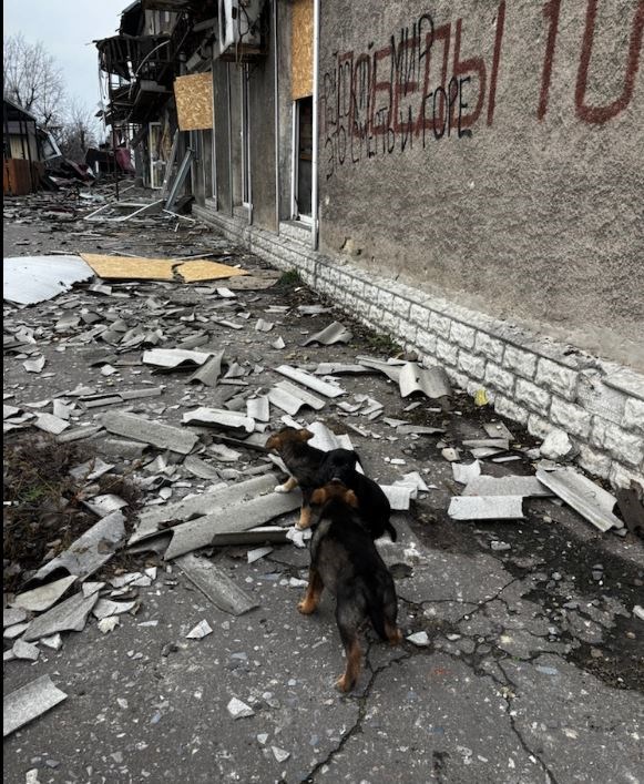 Missione Ovunque Ucraina