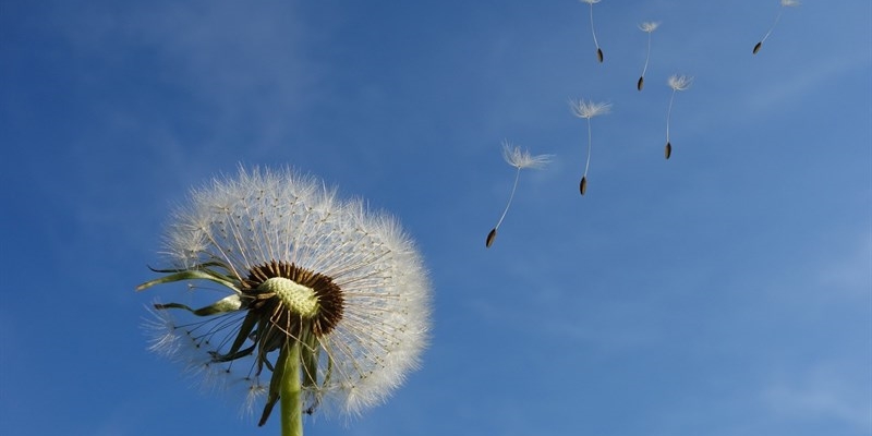 prosegue l'allerta vento