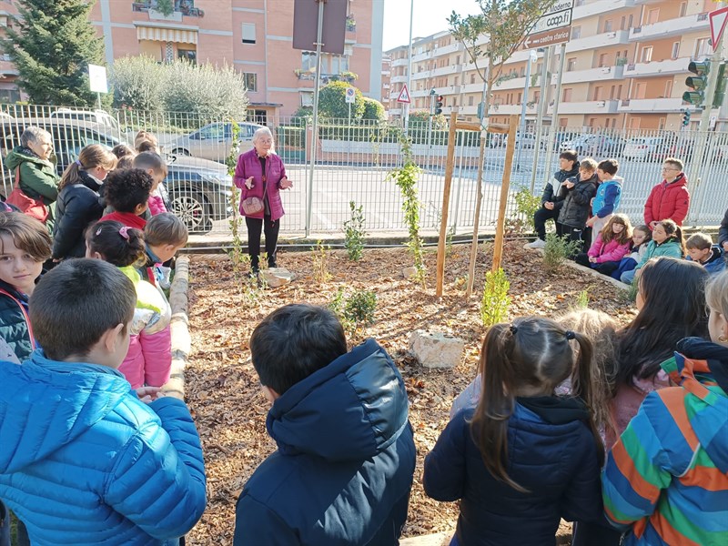 Realizzazione bosco didattico alla scuola primaria Calvino di Pontassieve