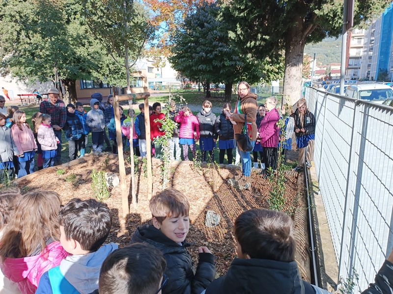 Realizzazione bosco didattico alla scuola primaria Calvino di Pontassieve