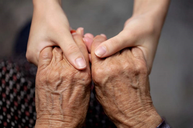 Il quadro normativo italiano: cosa prevede davvero la legge - okmugello.it