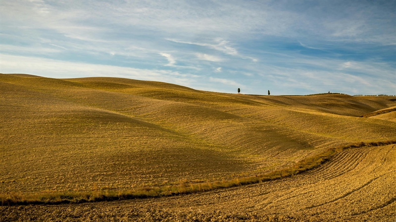 Campagna toscana