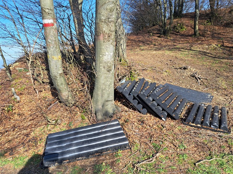 rifiuti abbandonati nel bosco