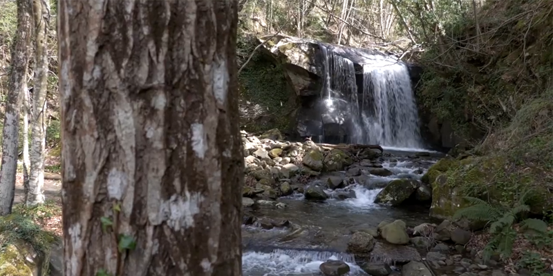 i cammini dell'acqua