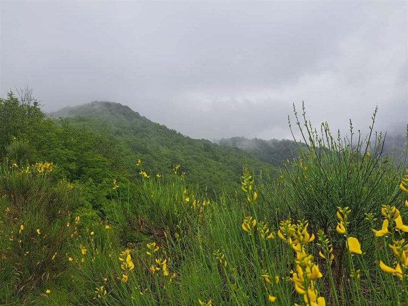 Marcia del 10 giugno 2023  in difesa del Monte Giogo di Villore