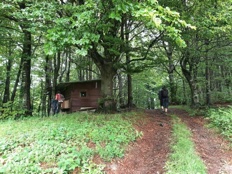 Marcia del 10 giugno 2023  in difesa del Monte Giogo di Villore