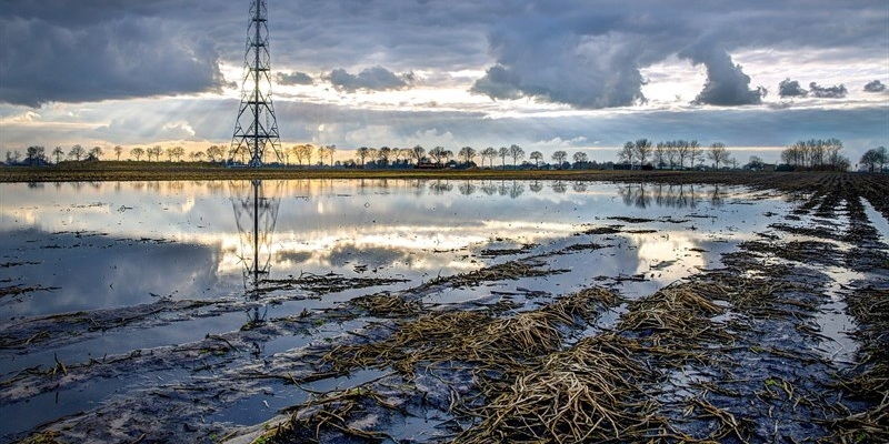 Arriva al Museo Geo di Pontassieve il racconto di COP29: uno spazio di discussione sui temi internazionali trattati