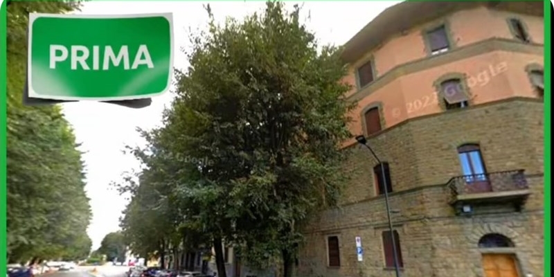 viale Giannotti prima dell’albericidio