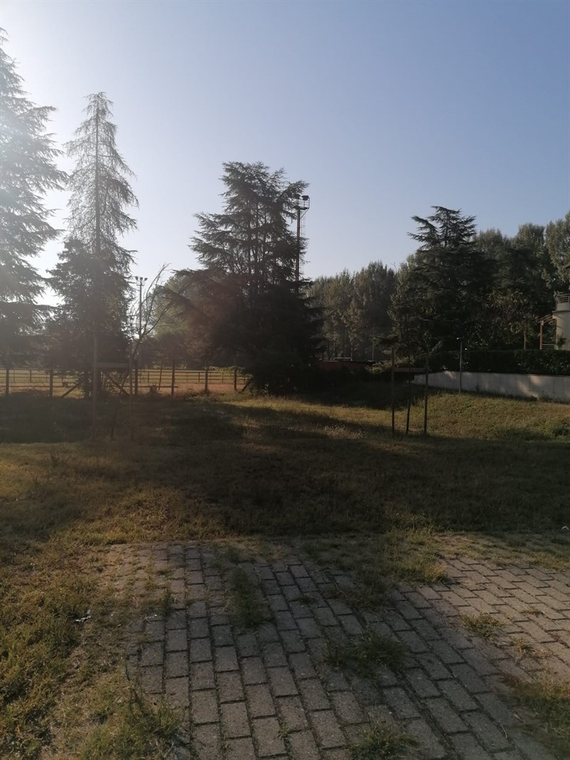 La situazione del giardino in zona Via Mons. Viagiani a Borgo San Lorenzo