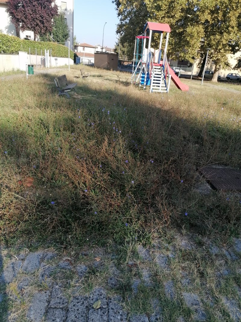 La situazione del giardino in zona Via Mons. Viagiani a Borgo San Lorenzo