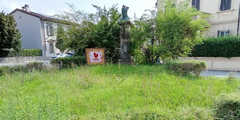 Borgo San Lorenzo: Tra giardini dimenticati e case che affogano, due segnalazioni di cittadini