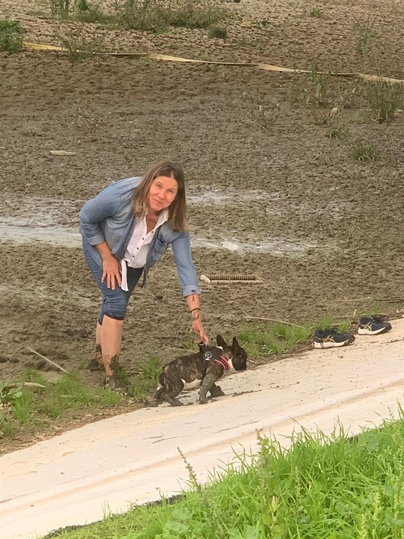 La situazione del parco e il cane salvato