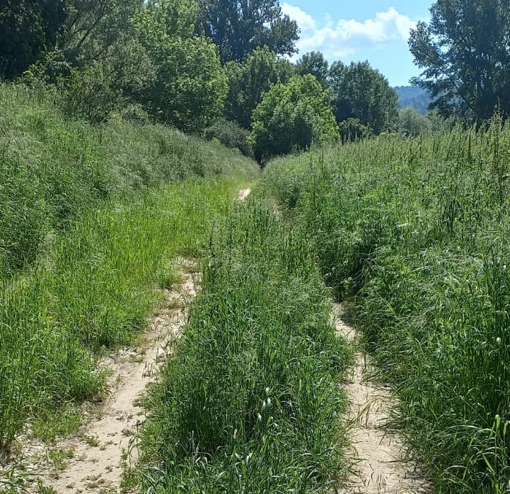 Ciclabile sagginale ponte a vicchio