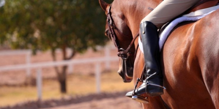 Pontassieve, brutta caduta da cavallo: è grave, interviene l'elisoccorso