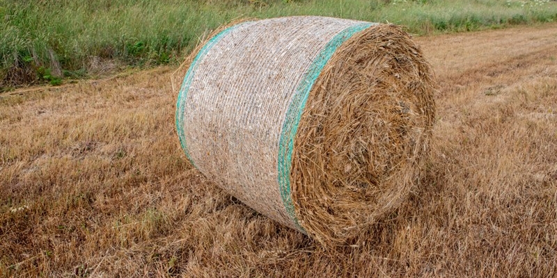 Paura in via Perfetti Ricasoli, rotoblalle a fuoco