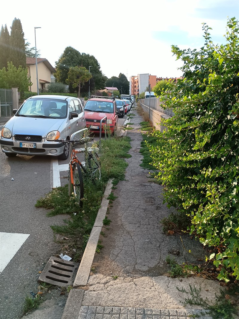 Marciapiedi di Via Basaglia incurati a Borgo San Lorenzo