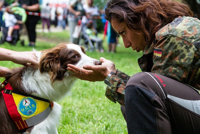 Un cane dell'unità di Akela