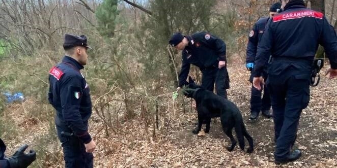 Carabinieri in Azione